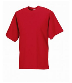 Biddick Hall Junior School - PE T-shirt - (1-2 to 11-12yrs)